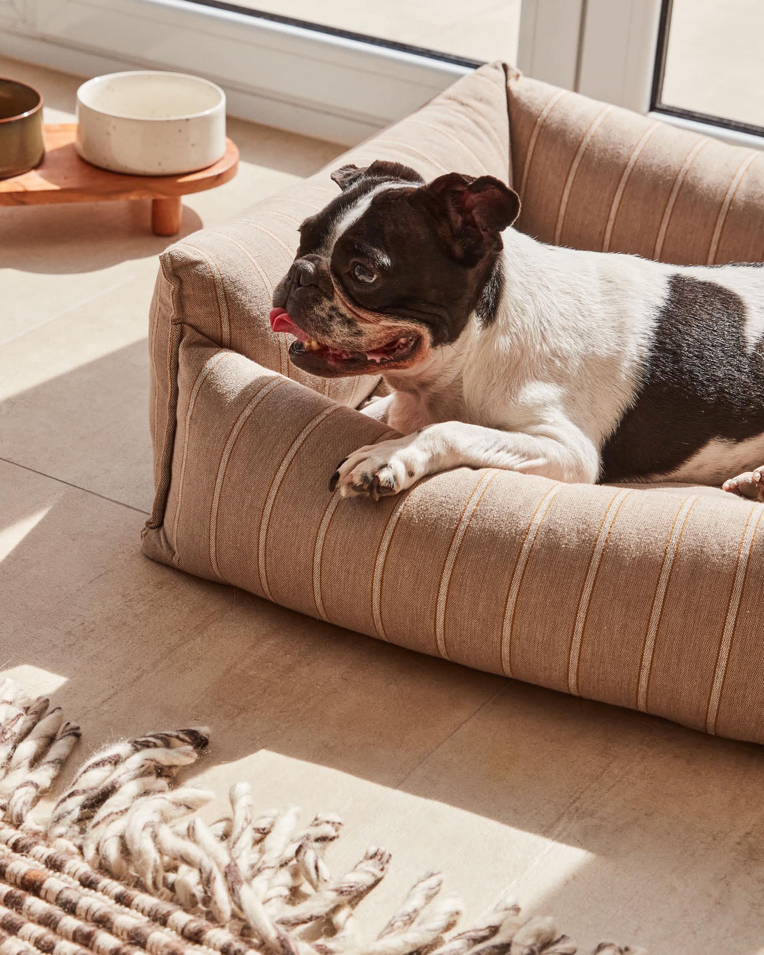 Stilvolles Dumbi Set mit 2 hochwertigen Keramiknäpfen und FSC-zertifiziertem Gestell, Ø 14 cm, perfekt für komfortable Fütterung von Haustieren.