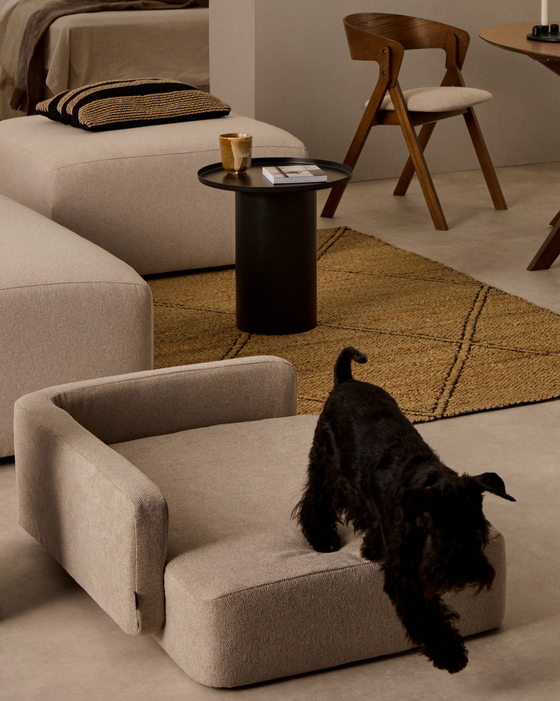 Das Bowie Haustierbett in Beige (63 x 80 cm) vereint modernes Design mit hohem Komfort. Ideal für kleine bis mittelgroße Haustiere, pflegeleicht und hygienisch.