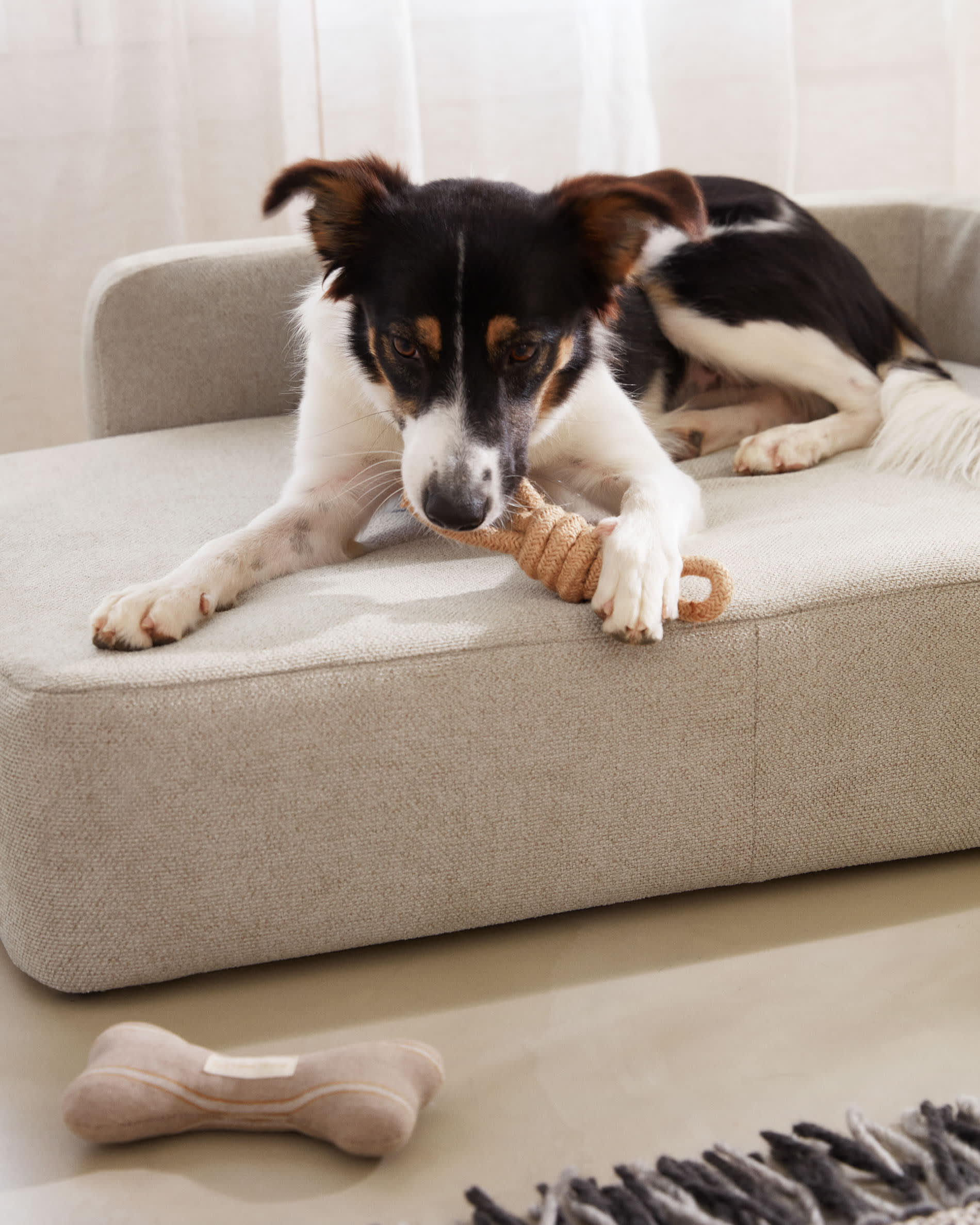 Beige Bowie Bezug für Haustierbett (73 x 98 cm) von Kave Home. Hochwertig, pflegeleicht und stilvoll – ideal für dein Zuhause und deinen Vierbeiner!