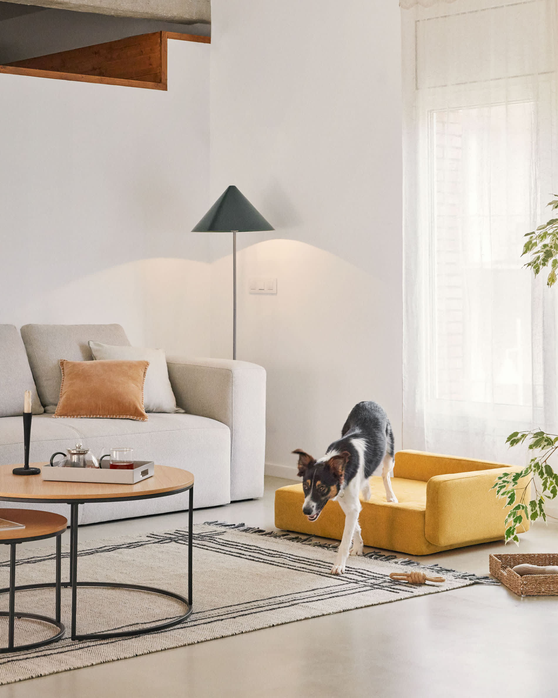 Gestalten Sie den Ruheplatz Ihres Haustiers mit dem Bowie Bezug in senfgelb (73 x 98 cm) von Kave Home – elegant, langlebig und leicht zu reinigen!