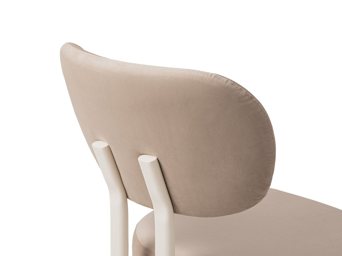 Zwei Sam Samtstühle von Cosmopolitan Design in Almond Beige mit Stahlbeinen, Buchenholzgestell und weicher, samtiger Bezugsoberfläche