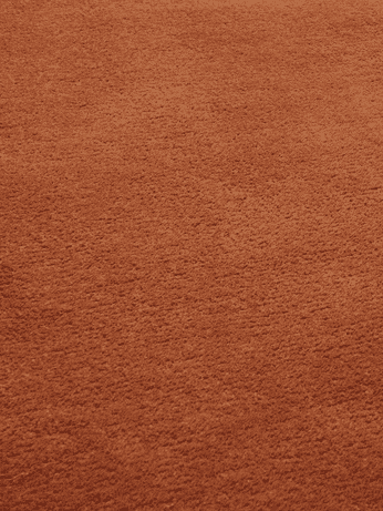 Silent Tufted Rug 200 x 300