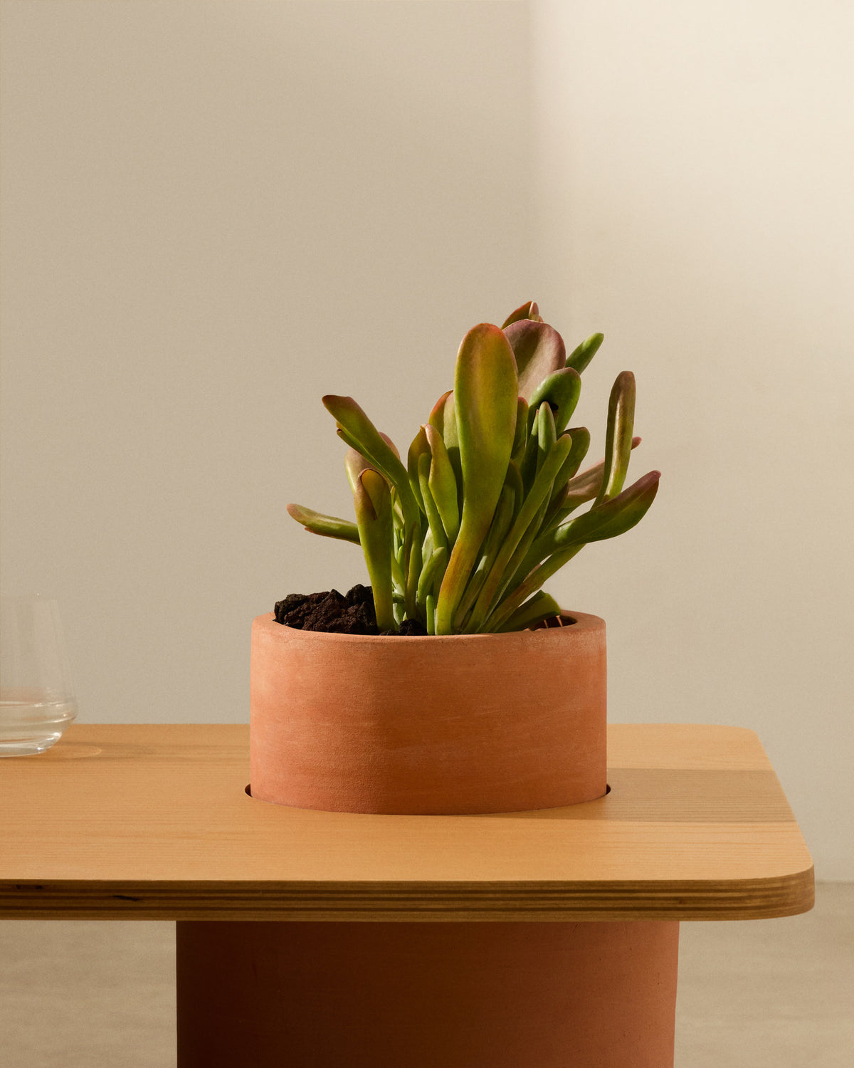 Couchtisch Olaria aus Terrakotta und Eichenfurnier mit naturfarbenem Finish 110 x 60 cm in Natur, Terrakotta präsentiert im Onlineshop von KAQTU Design AG. Couchtisch ist von Kave Home