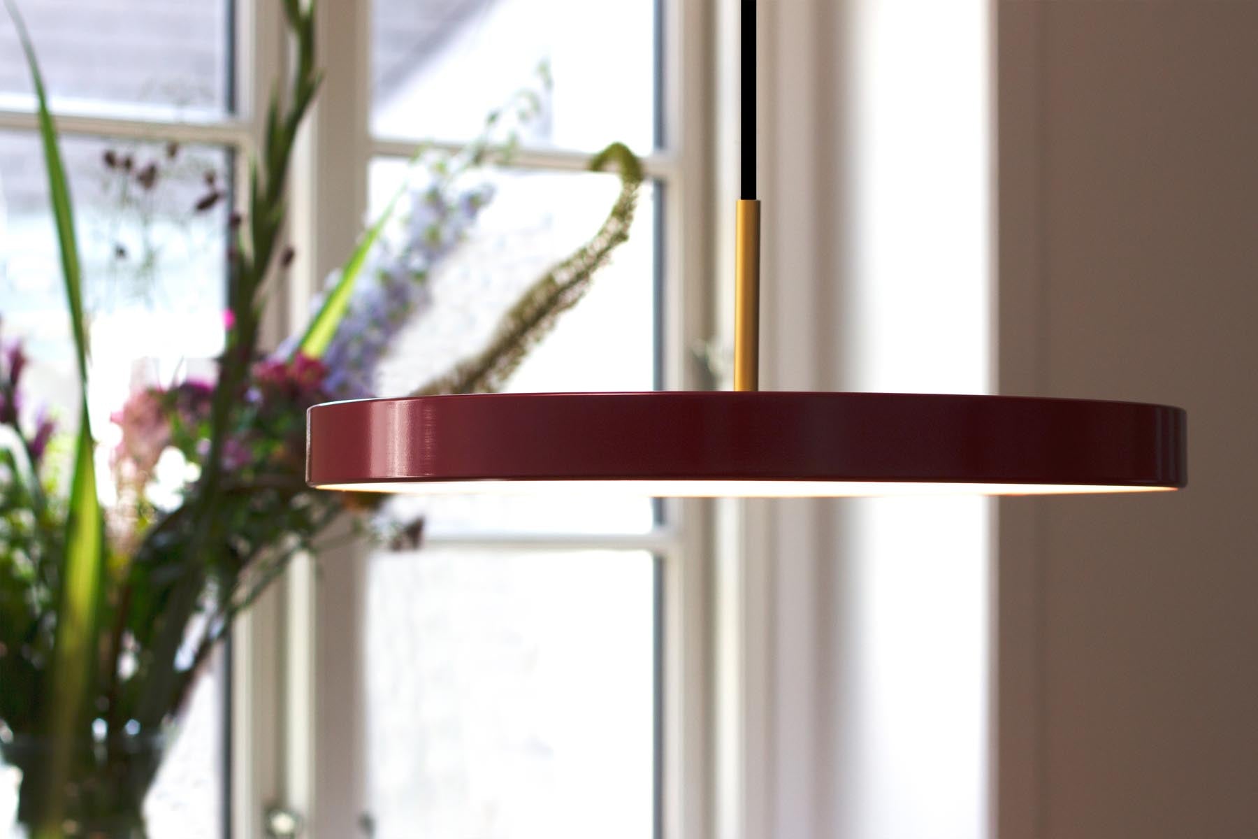 Elegante Asteria Medium Pendellampe in sattem Rubinrot, ideal für modernes Wohndesign und stimmungsvolle Beleuchtung in jedem Raum.