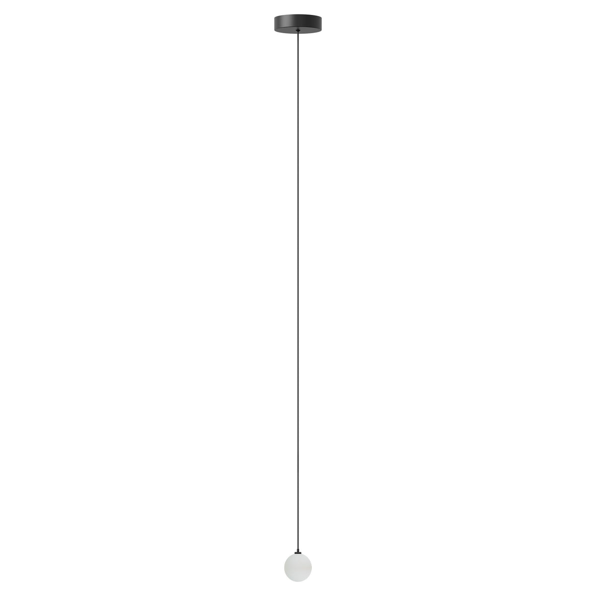 Rosette Mini 1er in Black präsentiert im Onlineshop von KAQTU Design AG. Kabel / Lampenfassung ist von Umage