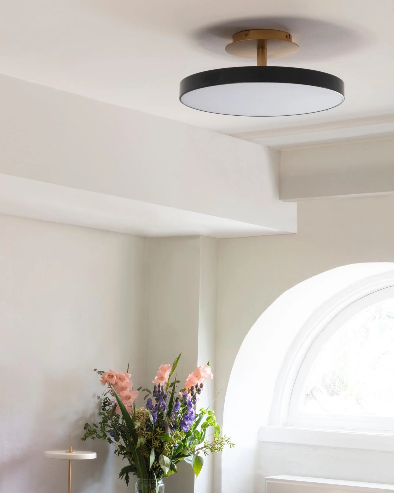 Asteria su la luce del soffitto