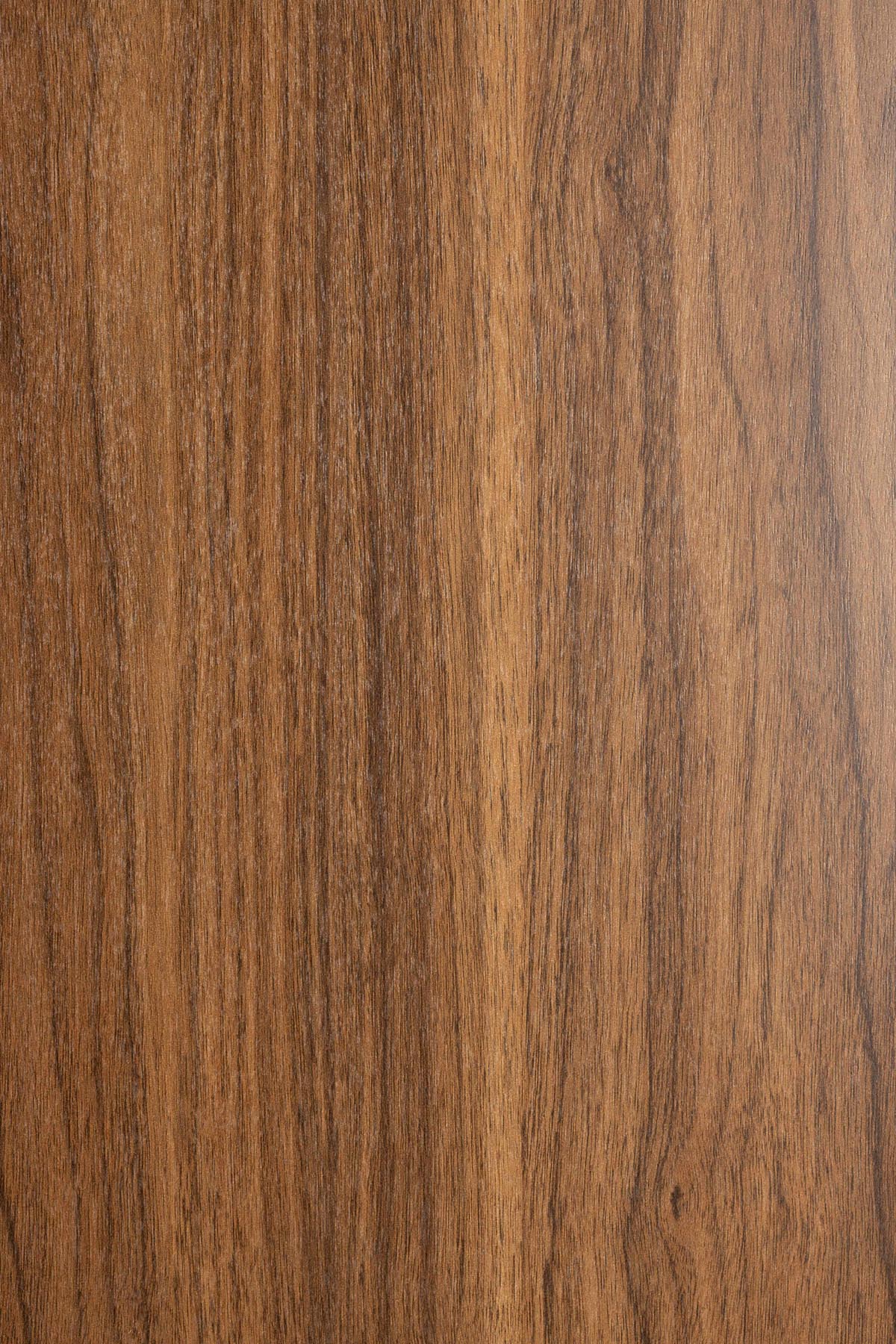 Sideboard Low Almira in Braun präsentiert im Onlineshop von KAQTU Design AG. Sideboards ist von White Label Living