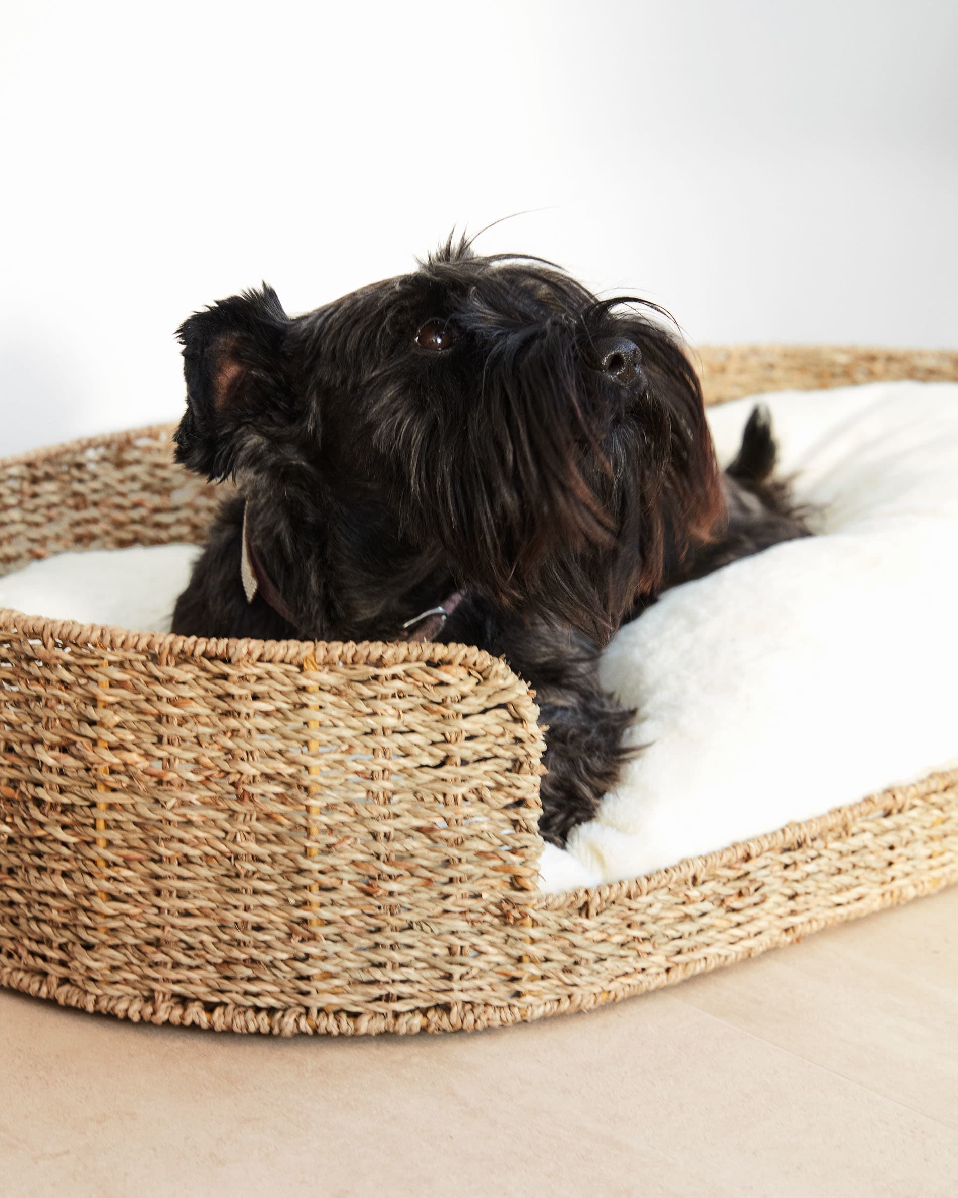 Großes Haustierbett aus Naturfasern, Ø 80 x 45 cm, von Kave Home. Nachhaltig, bequem und ideal für große Haustiere.