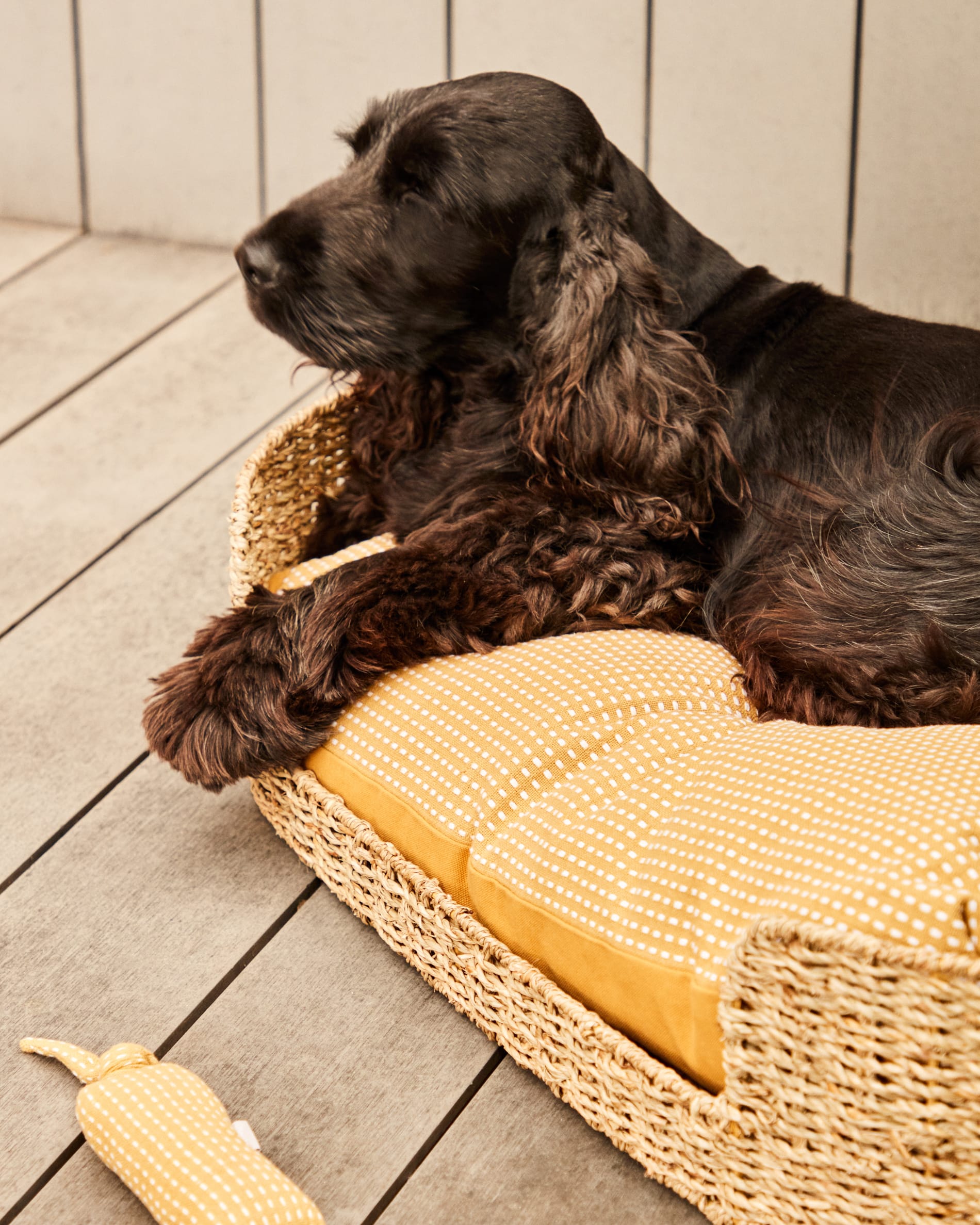Komfortables Haustierbett aus Naturfasern, Ø 80 x 45 cm, von Kave Home. Perfekt für große Haustiere, nachhaltig und stilvoll.