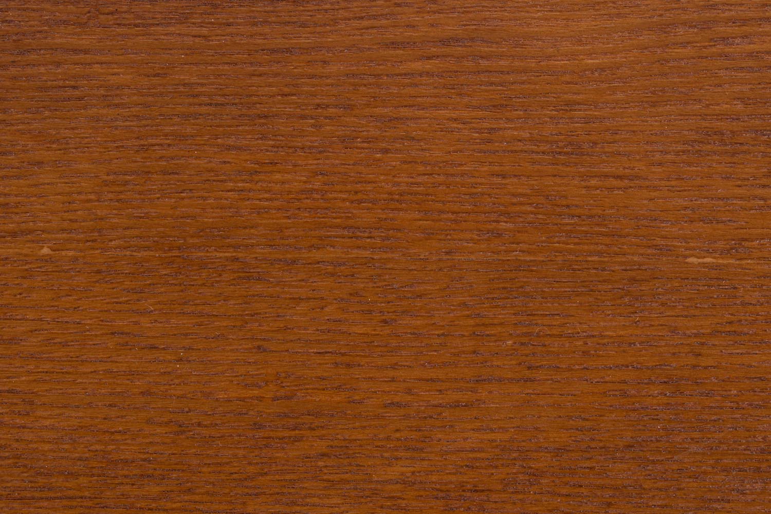 Erleben Sie den Northwood Stuhl von Zuiver – eine harmonische Verbindung aus elegantem Design und optimalem Sitzkomfort für Ihr Zuhause oder Büro.