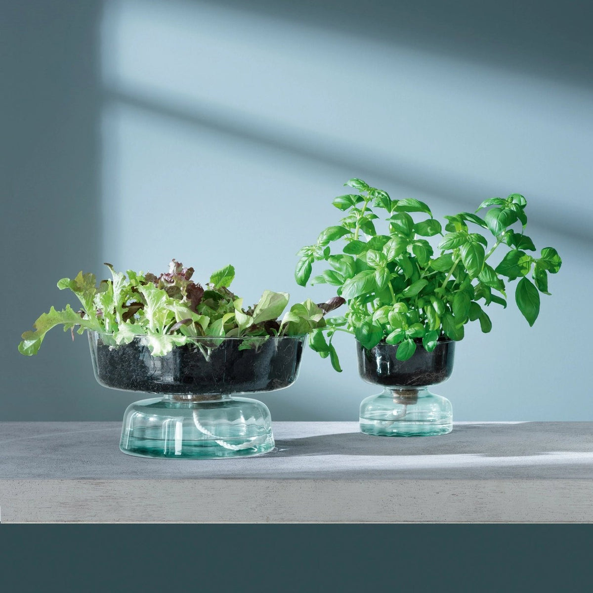 Canopy von LSA: Recycelte Glasoptik für dein Zuhause