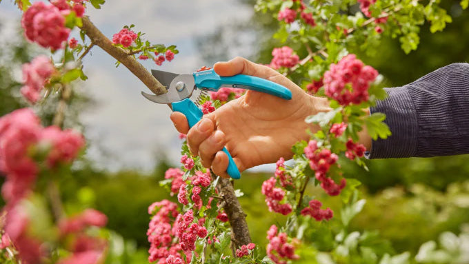Entdecke die stilvollen und robusten Gartenwerkzeuge von KAQTU für Balkon und Garten. Ideal für Umtopfen, Jäten und Pflege – funktional und ergonomisch!