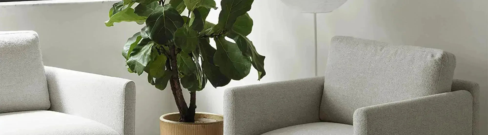 Modulares Sofa der Rar Serie von Normann Copenhagen in modernem, minimalistischem Design mit weicher Polsterung und klaren Linien, arrangiert in einem stilvollen Wohnzimmer.