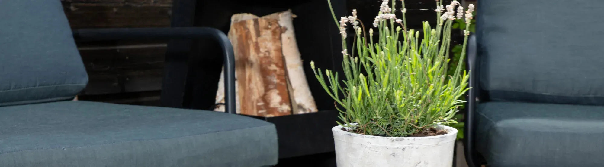 Blumentöpfe – Dekorative Pflanzgefäße für Innenräume & Garten