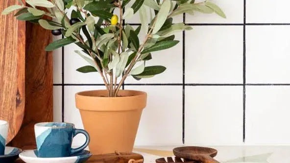 Entdecken Sie die Cif Kollektion: effektive Fensterreiniger und vielseitige Reinigungsmittel für strahlende Sauberkeit in jedem Zuhause!