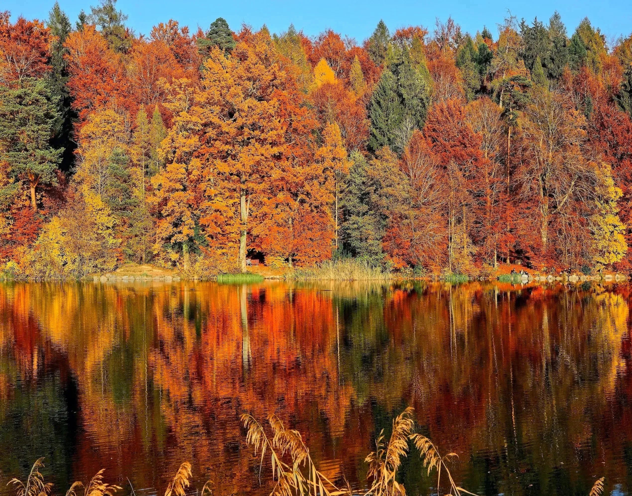 Herbstliche Wohnideen für Gemütlichkeit