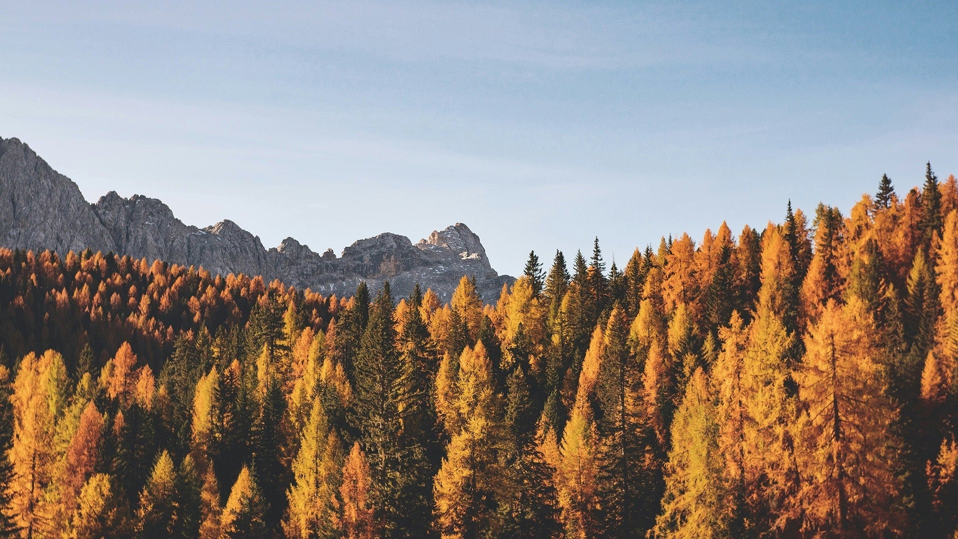Entdecken Sie die "Herbstzauber Zuhause" Kollektion: warme Farben, natürliche Materialien und stimmungsvolle Beleuchtung für gemütliche Herbstwohnideen.