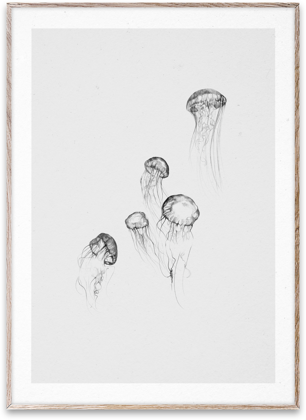 Jellyfish - KAQTU Design