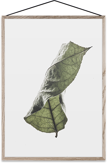 Floating Leaves 04 - KAQTU Design