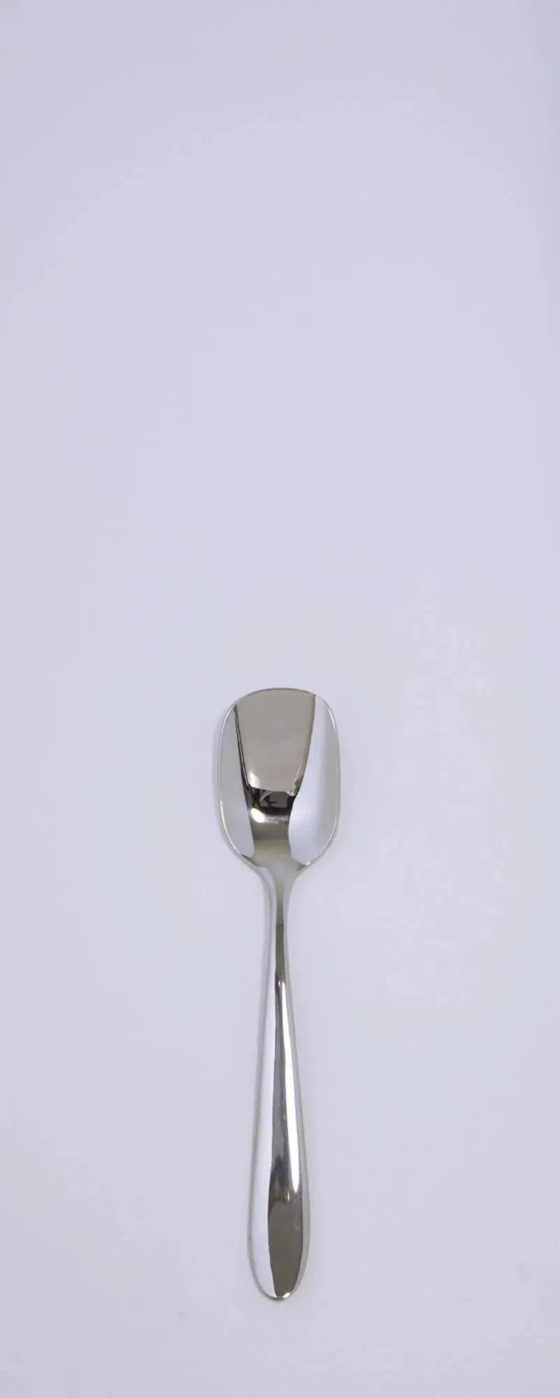 Elegante Ritz Glacélöffel von Pintinox, 13,8 cm, aus 18/10 Edelstahl, langlebig, korrosionsbeständig, ergonomisch, ideal für Desserts.