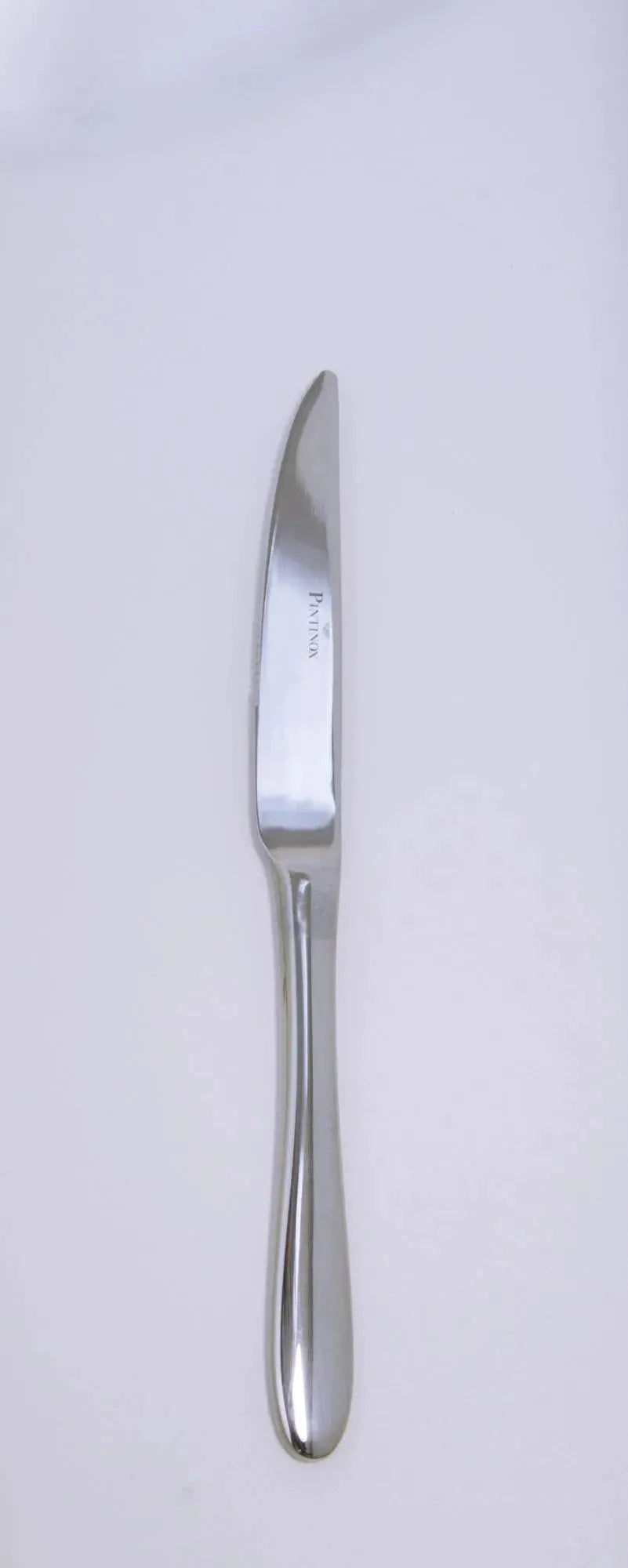 Elegante Ritz Steakmesser von Pintinox: 22,8 cm Klinge, 18/10 Edelstahl, präzise, langlebig, ideal für Steakliebhaber.