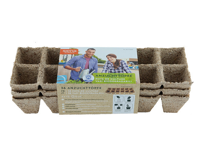 SIENA GARDEN Anzuchttopf 5x5 cm 36 Stück in  präsentiert im Onlineshop von KAQTU Design AG. Pflanzentopf Outdoor ist von SIENA GARDEN