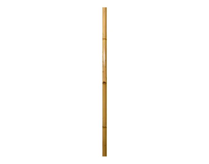 WINDHAGER Bambus-Rohr 2 m ø 4 cm natur in  präsentiert im Onlineshop von KAQTU Design AG. Gartenutensilien ist von WINDHAGER