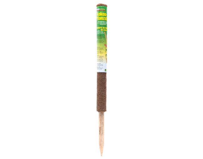 WINDHAGER Pflanzenstab Kokos 60 cm in  präsentiert im Onlineshop von KAQTU Design AG. Gartenutensilien ist von WINDHAGER