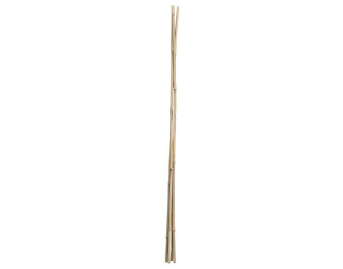 Bambusstab 90 cm 4 Stück natur in  präsentiert im Onlineshop von KAQTU Design AG. Gartenutensilien ist von E + h