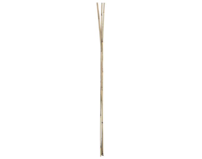 Bambusstab 120 cm 3 Stück natur in  präsentiert im Onlineshop von KAQTU Design AG. Gartenutensilien ist von E + h