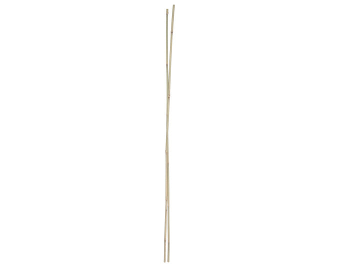 Bambusstab 150 cm 2 Stück natur in  präsentiert im Onlineshop von KAQTU Design AG. Gartenutensilien ist von E + h