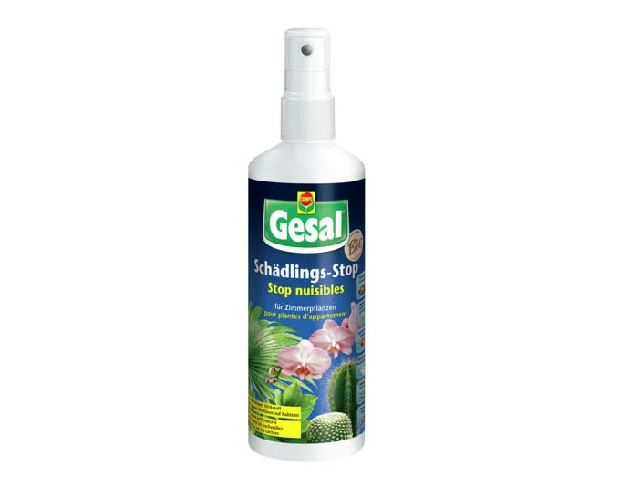 GESAL Schädlingsstop Zimmerpflanzen 250 ml in  präsentiert im Onlineshop von KAQTU Design AG. Insektenabwehr ist von GESAL