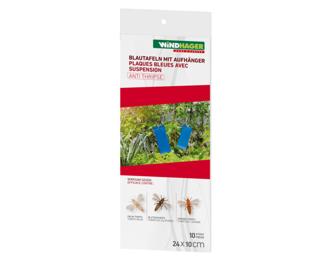 WINDHAGER Blautafeln mit Aufhänger 10 Stk. in  präsentiert im Onlineshop von KAQTU Design AG. Insektenabwehr ist von WINDHAGER