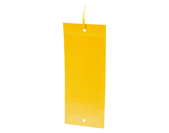 WINDHAGER Gelbtafeln mit Aufhänger 10 Stk. in  präsentiert im Onlineshop von KAQTU Design AG. Insektenabwehr ist von WINDHAGER