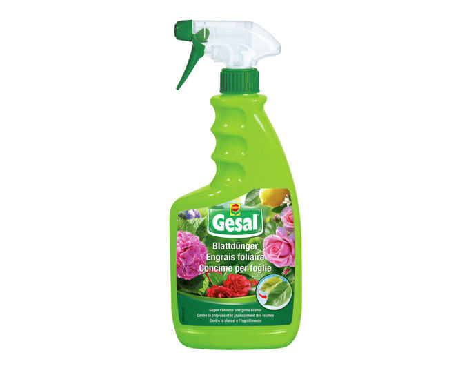 GESAL Blattdünger 750 ml in  präsentiert im Onlineshop von KAQTU Design AG. Gartenpflege ist von GESAL