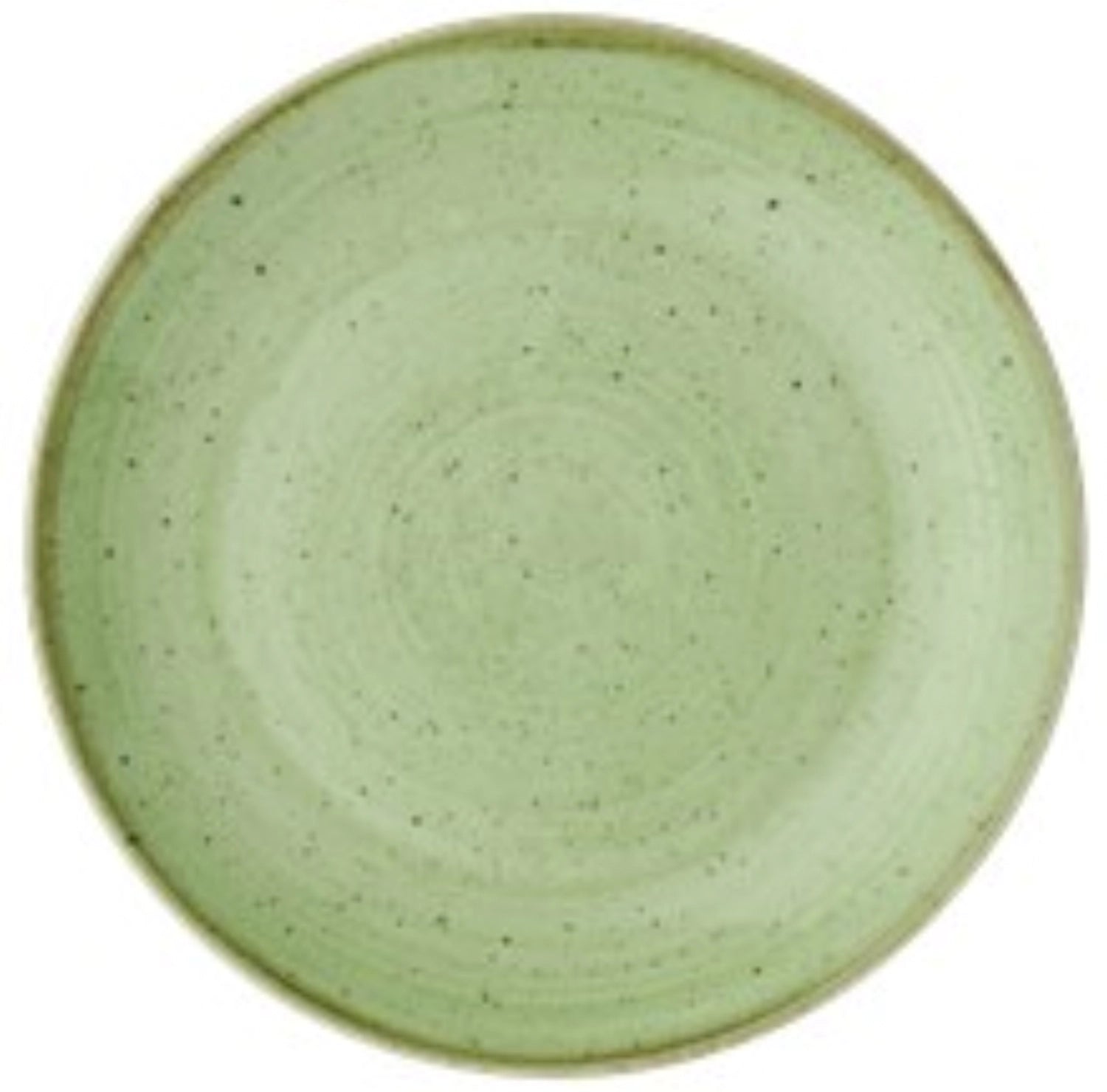 Stonecast Sage Green Coupe Teller Flach 21.7cm