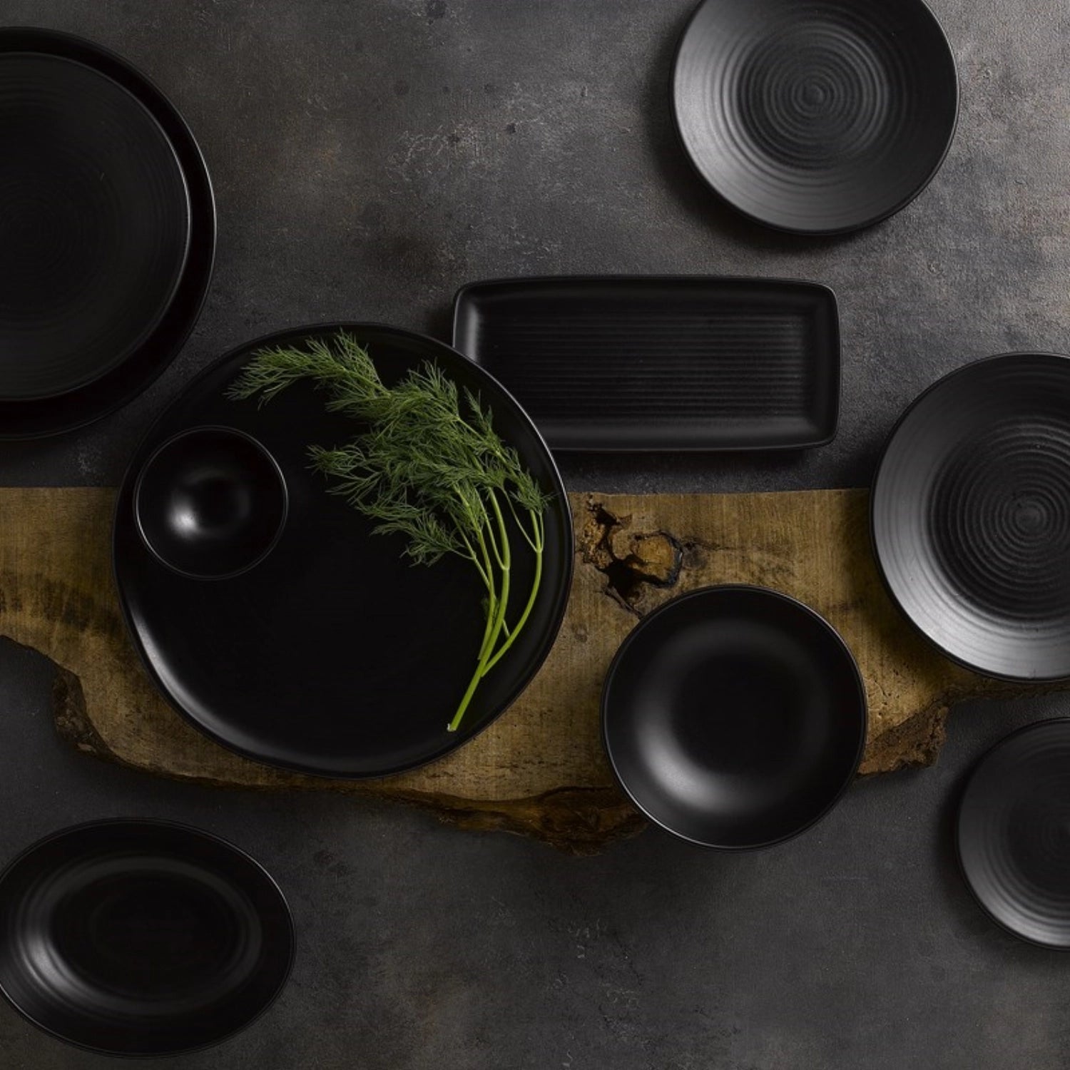 Evo Jet Coupe Teller: Modernes Design für anspruchsvolle Gastronomie.
