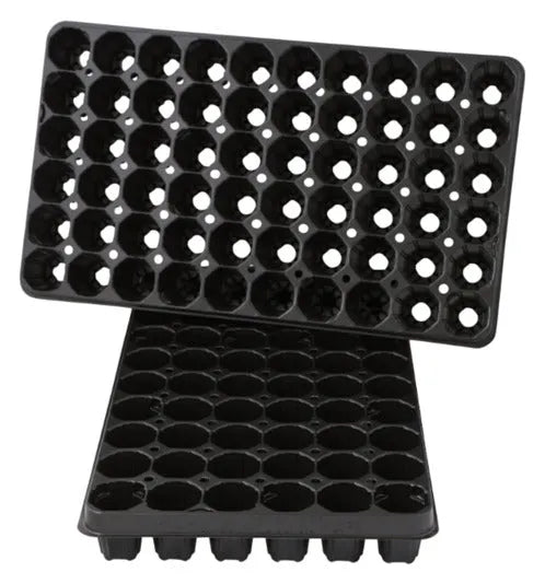 SIENA GARDEN Topfplatte 310x530 mm für 60 Töpfe 4.7 cm in  präsentiert im Onlineshop von KAQTU Design AG. Gartenutensilien ist von SIENA GARDEN