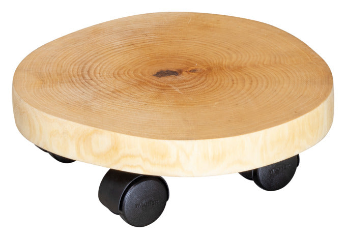 WAGNER Pflanzenroller GH 0286 ø 30 cm in  präsentiert im Onlineshop von KAQTU Design AG. Pflanzentopfzubehör ist von WAGNER