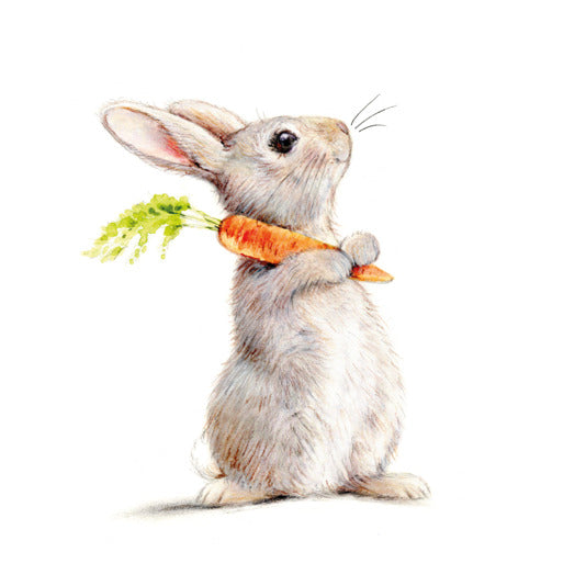 Servietten Rabbit & Carrot 33x33 cm in  präsentiert im Onlineshop von KAQTU Design AG. Servietten ist von PPD