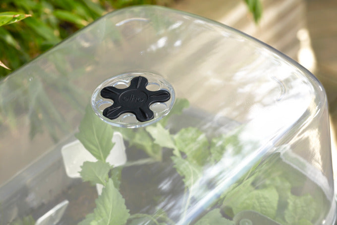 ELHO Anzucht Tisch Noa living schwarz in  präsentiert im Onlineshop von KAQTU Design AG. Gartenutensilien ist von ELHO