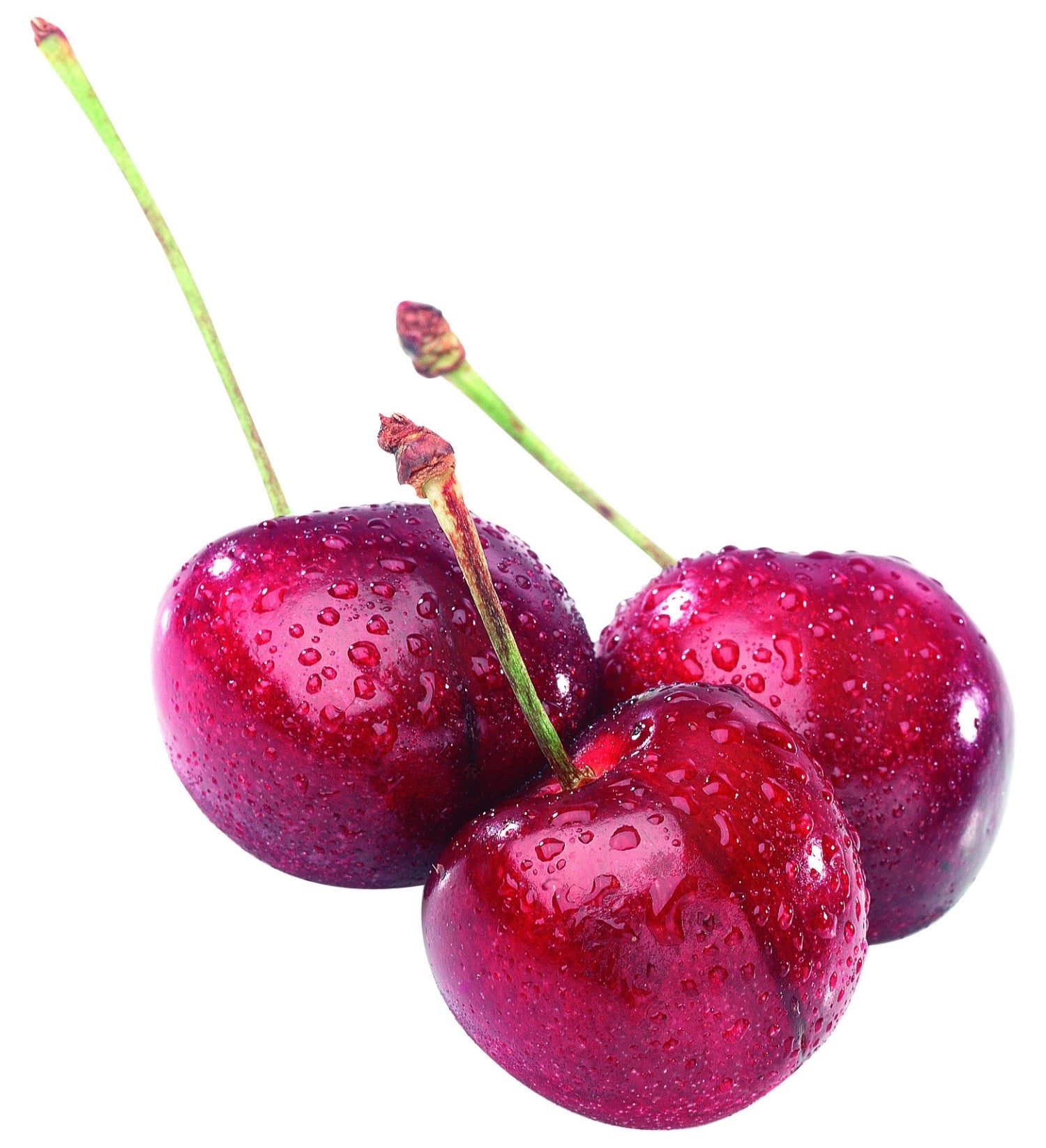 Cherry stoner Kernex, 14x4x2.5cm