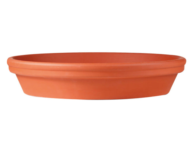 SPANG Untersetzer Ton ø 32.9x6.7 cm transparent glasiert terracotta in  präsentiert im Onlineshop von KAQTU Design AG. Pflanzentopfzubehör ist von SPANG