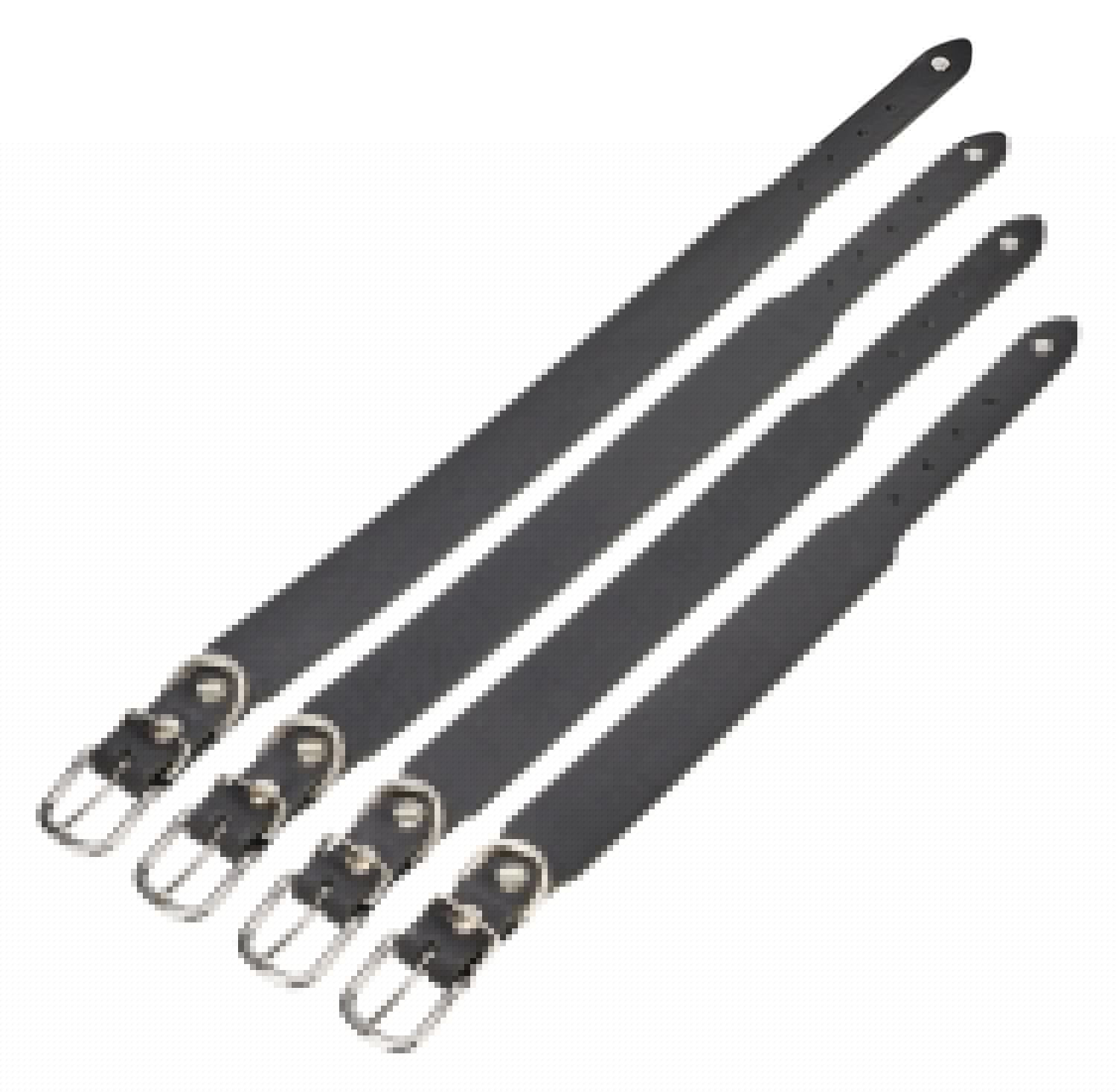 Luxuriöses Laboni Giro XL Halsband für große Hunde mit Stil.
