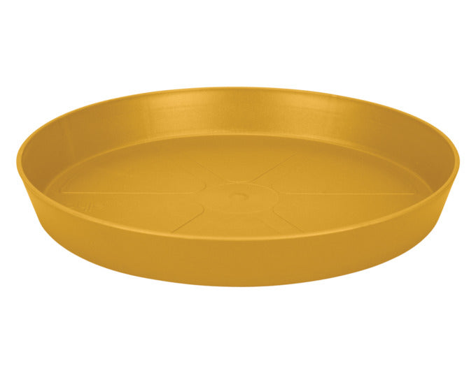 ELHO Untersetzer loft urban rund ø 28 cm honig gelb in  präsentiert im Onlineshop von KAQTU Design AG. Pflanzentopfzubehör ist von ELHO