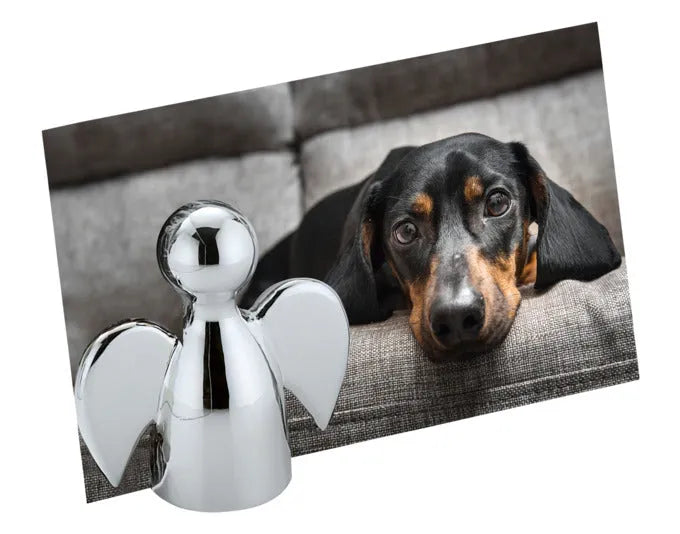 Eleganter PHILIPPI Kartenhalter Angelo, 4x4x4 cm, stilvolles Design, ideal für Visitenkarten, hochwertig verarbeitet, modernes Accessoire.