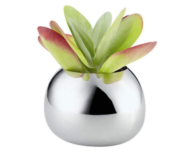 Die PHILIPPI Vase Bella S aus Edelstahl (ø 16x12 cm) besticht durch ihr elegantes Design und ist ideal für stilvolle Dekorationen.