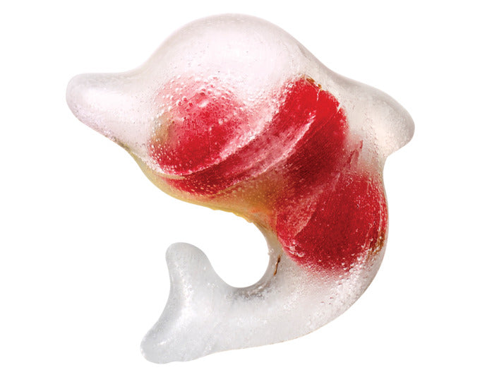 LÉKUÉ Eiswürfelform Delfin mit Deckel 23x12 cm türkis in  präsentiert im Onlineshop von KAQTU Design AG. Barzubehör ist von LEKUE