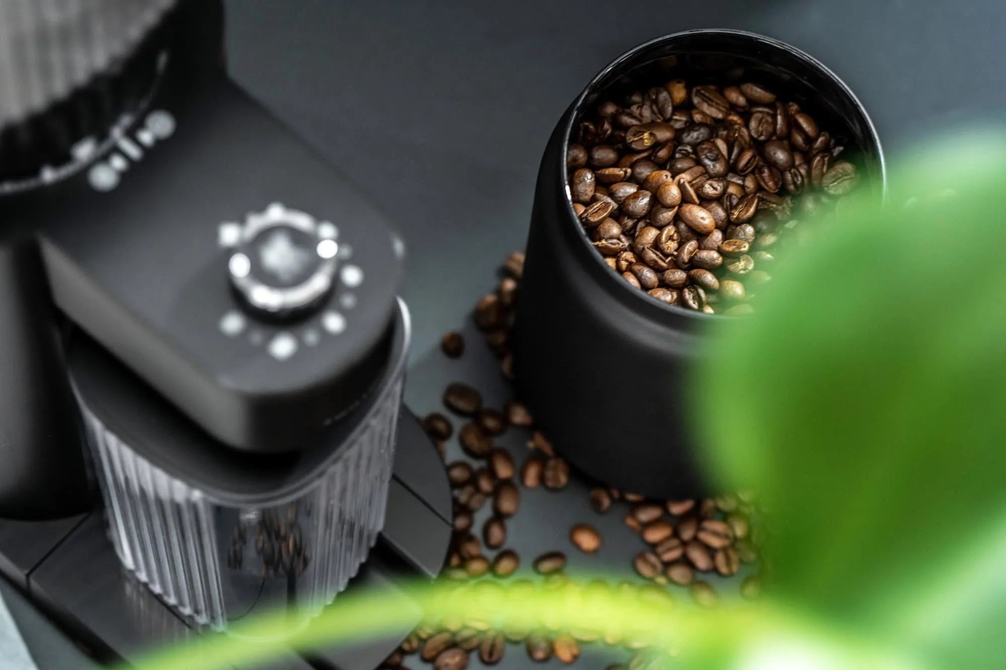 Zwilling Enfinigy Kaffeemühle: Perfekte Bohnenmahlung in edlem Schwarz.