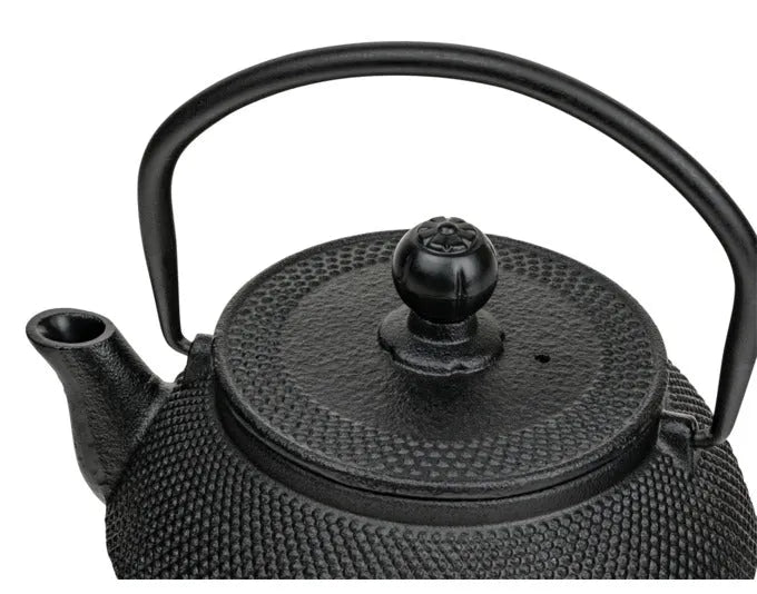 Elegante schwarze Teekanne Jang von BREDEMEIJER, 0.5 l, ideal für stilvollen Teegenuss, hochwertig und funktional.
